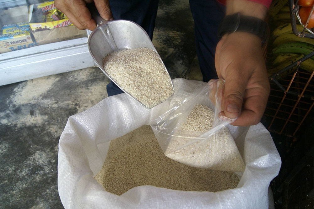 Consumo de arroz picado  es riesgoso para la salud