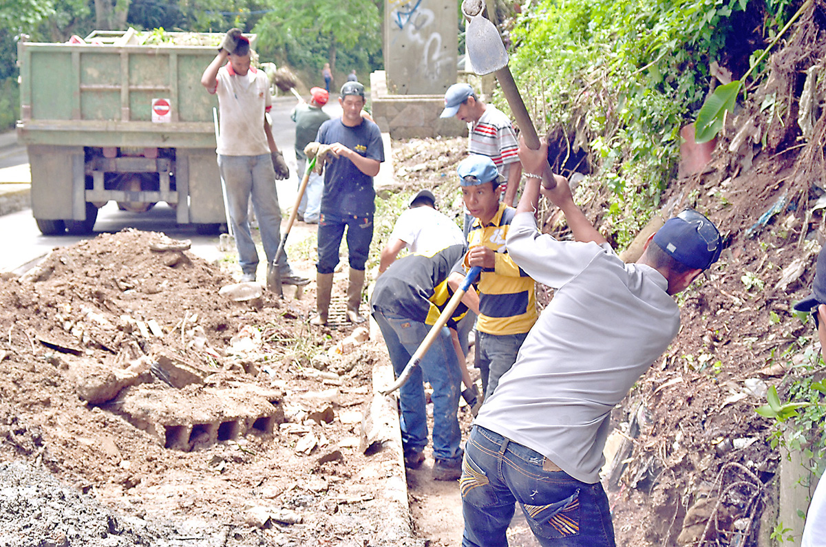 Trabajos de desmalezamiento  se extienden por una semana