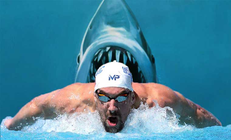 Michael Phelps retó a un tiburón blanco en prueba de aguas abiertas