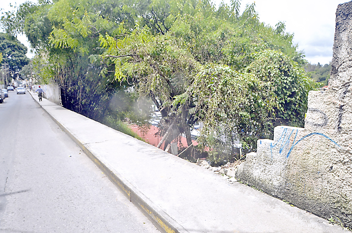 Muro de la calle Ribas a punto de caer