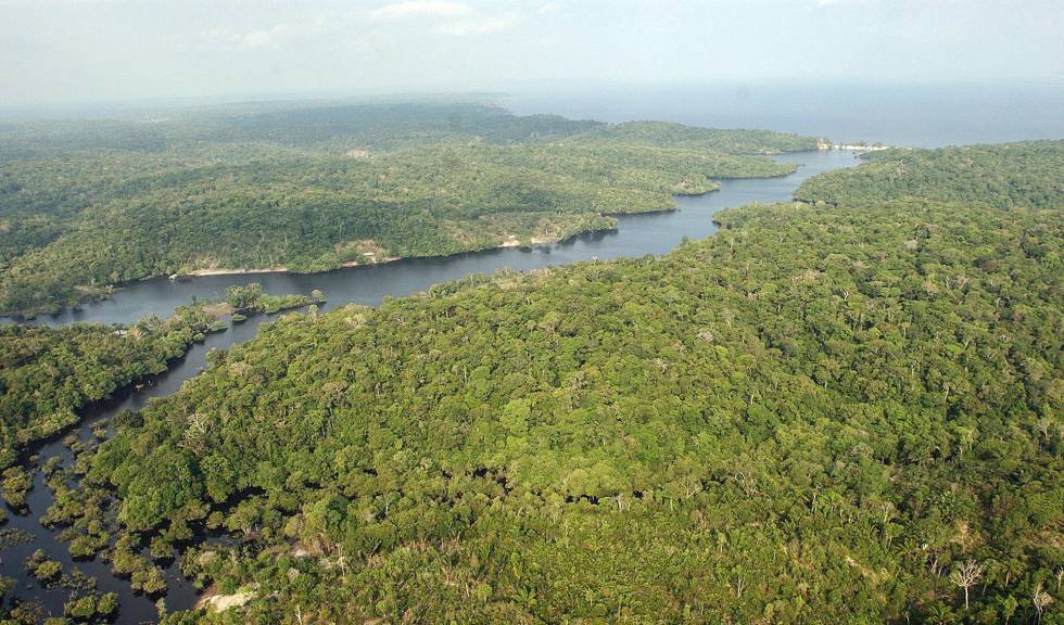 La justicia brasileña suspende un decreto de Temer para la explotación minera en la Amazonia