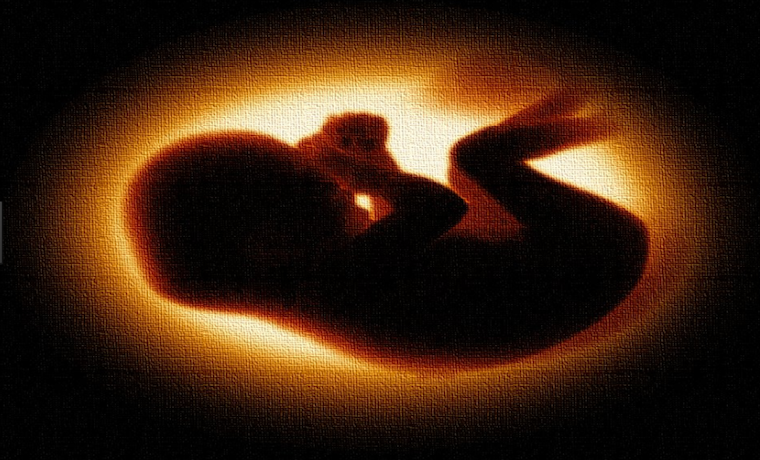 Tribunal Constitucional de Chile avaló proyecto que despenaliza el aborto