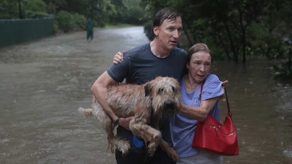 El rescate de las mascotas tras el paso de Harvey en Texas