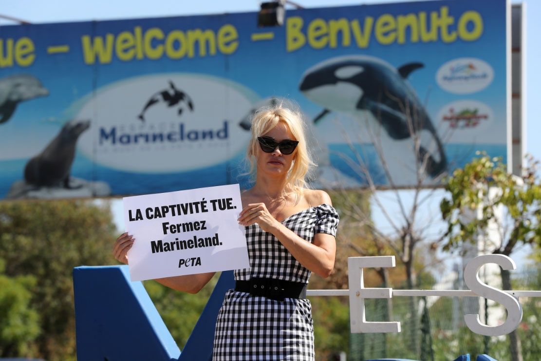 Pamela Anderson protestó en Francia contra cautiverio de animales