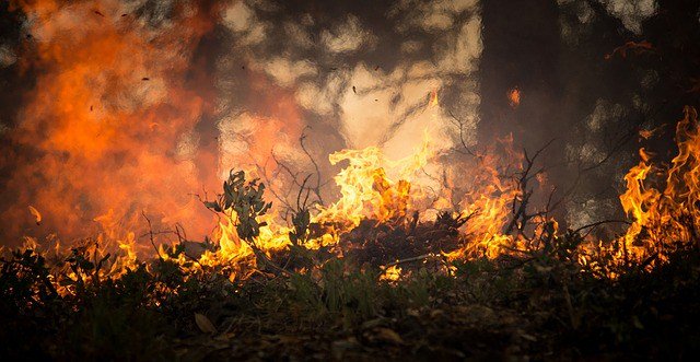 Incendios en California dejan 11 muertos