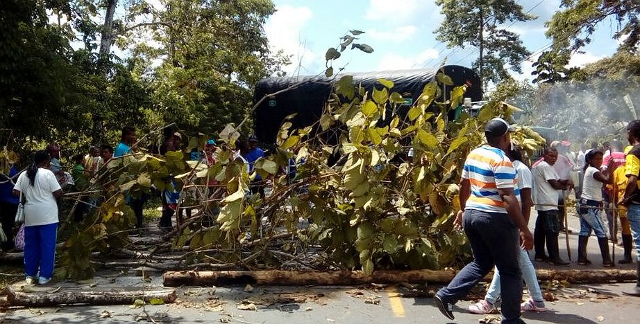 Cuatro muertos y 19 heridos en protesta de cocaleros colombianos