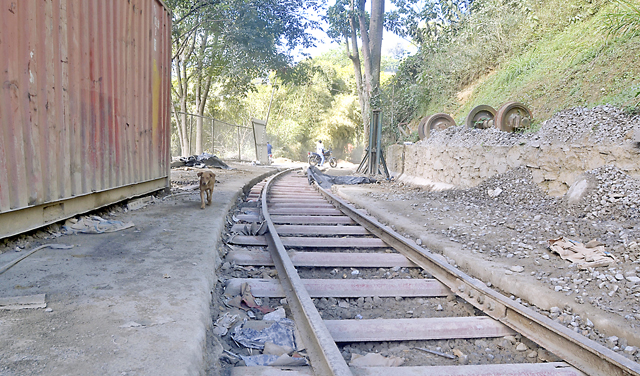 Capturan al asesino de joven dejada en el Tren de El Encanto