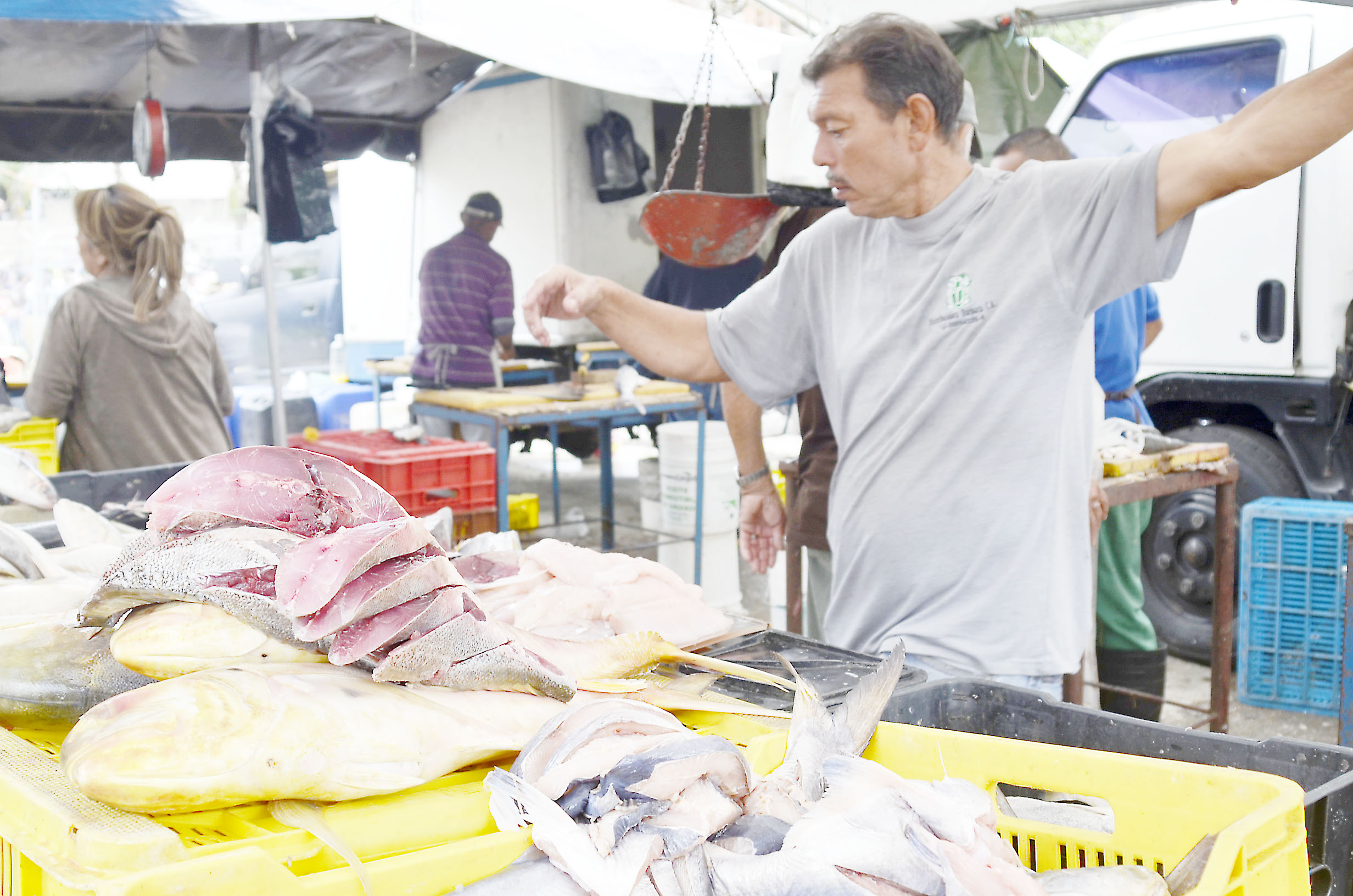 A falta de sardinas, tequeños compran machuelos