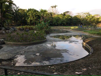 Comienzan trabajos para recuperar el lago del Parque del Este