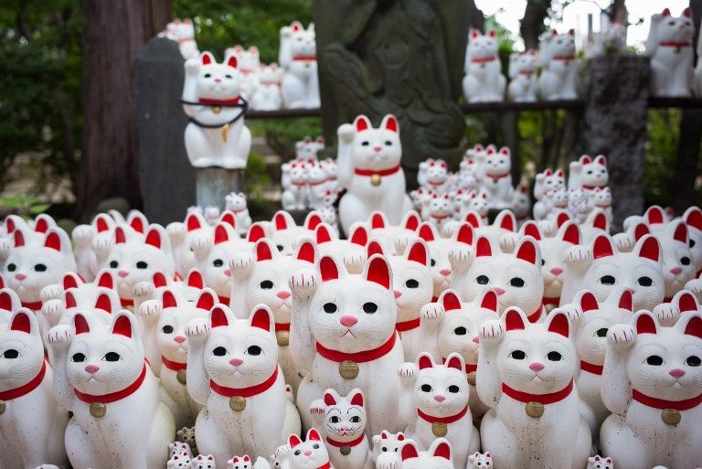 En Tokio, un templo de ‘gatos de la suerte’ atrae a ‘instagramers’ de todo el mundo