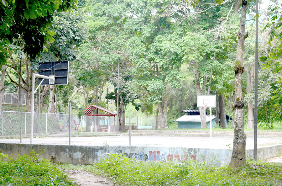 Parque Los Lagos tiene cerca de siete años abandonado