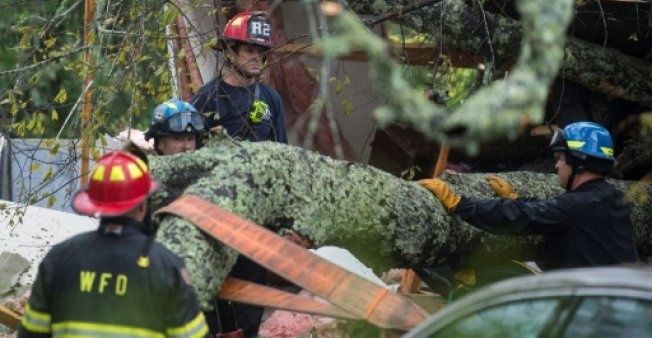 Una mujer y su bebé mueren por la caída de un árbol al paso del huracán Florence