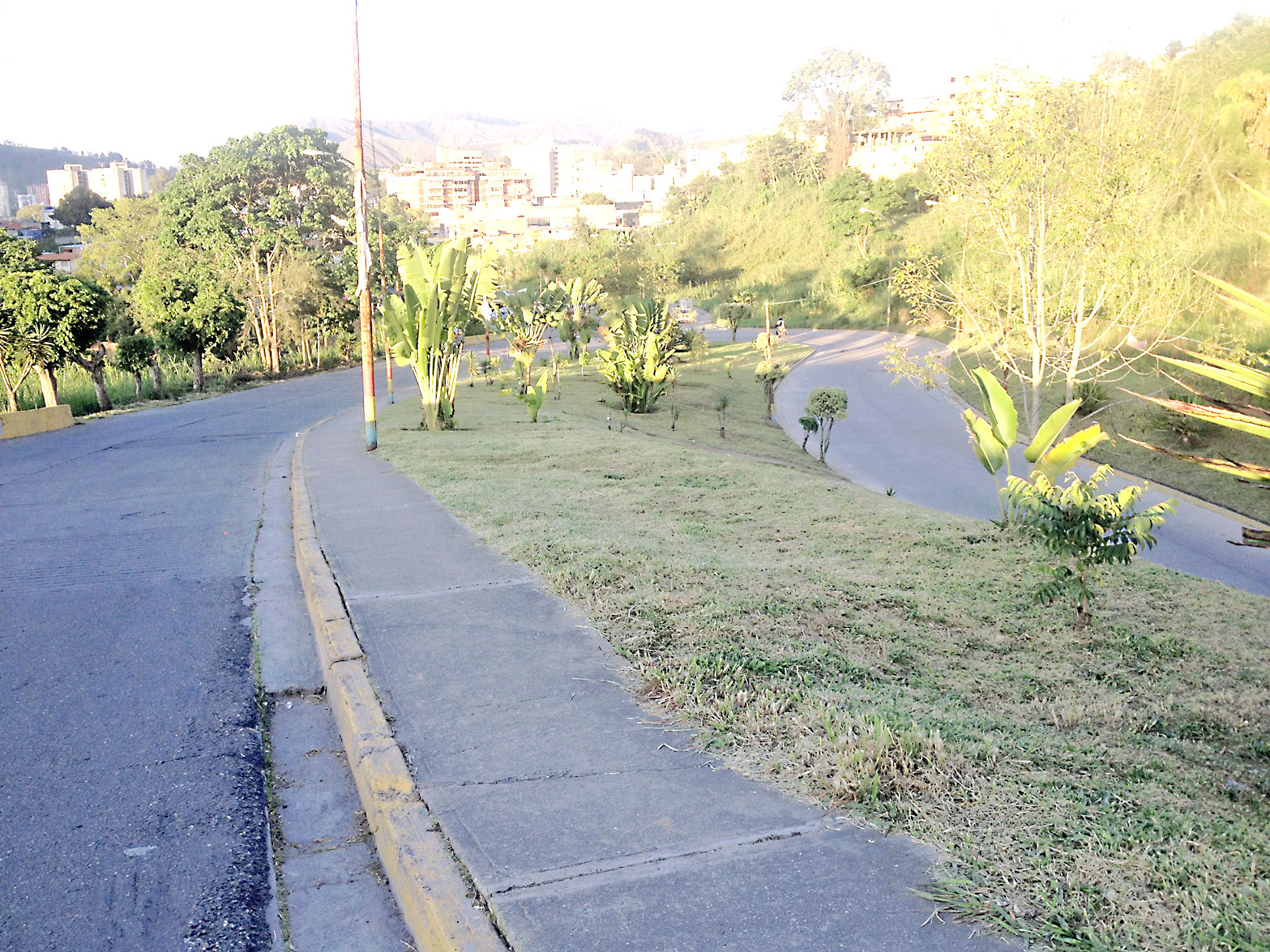 Plan de Embellecimiento sigue viento en popa