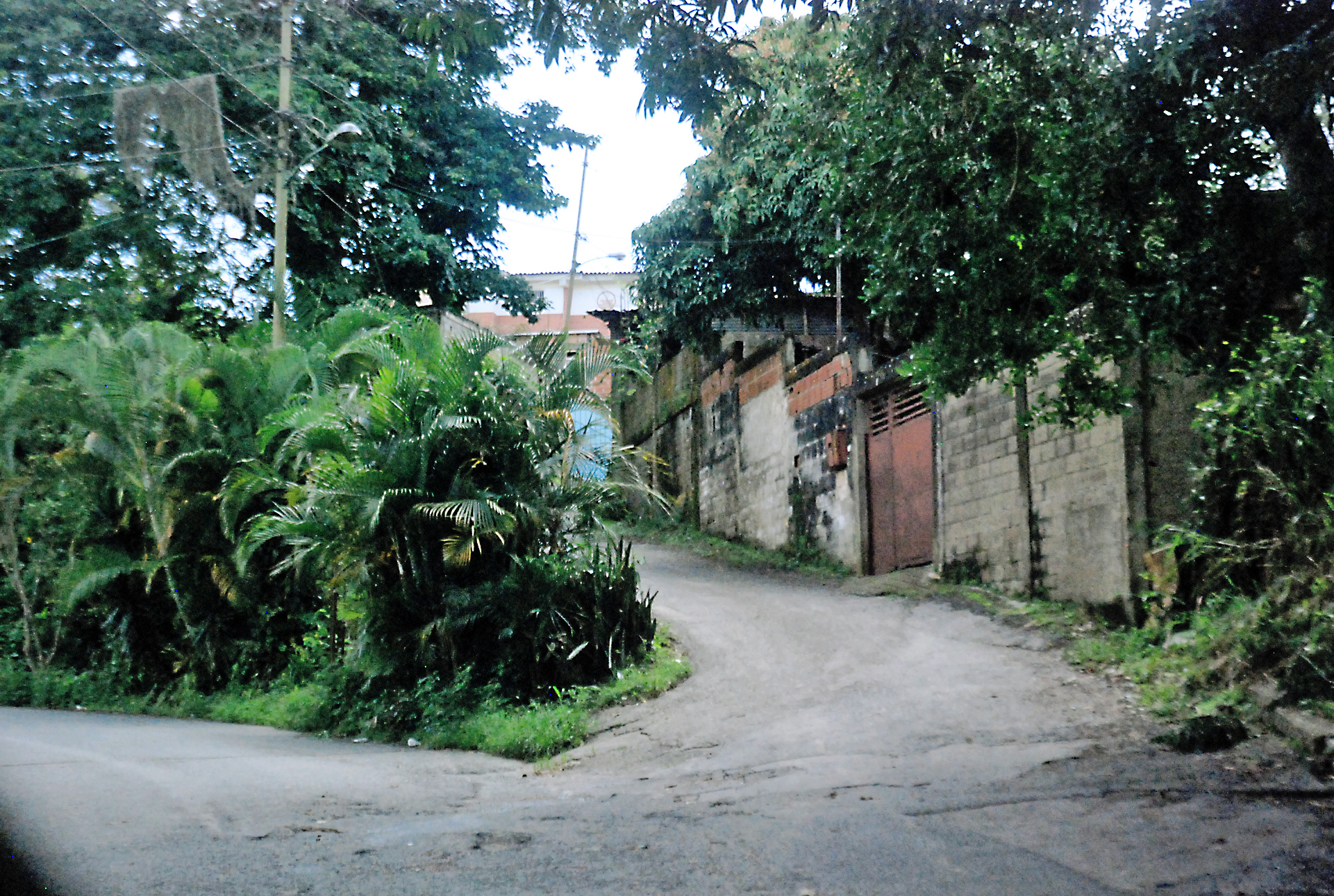 Secos siguen vecinos de Las Nieves