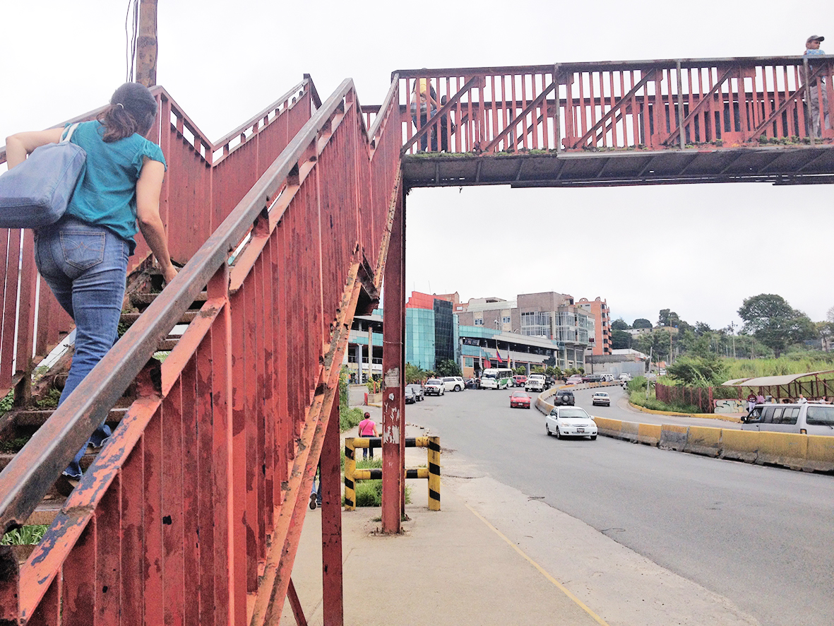 Pasarelas de la Panamericana urgen por reparación