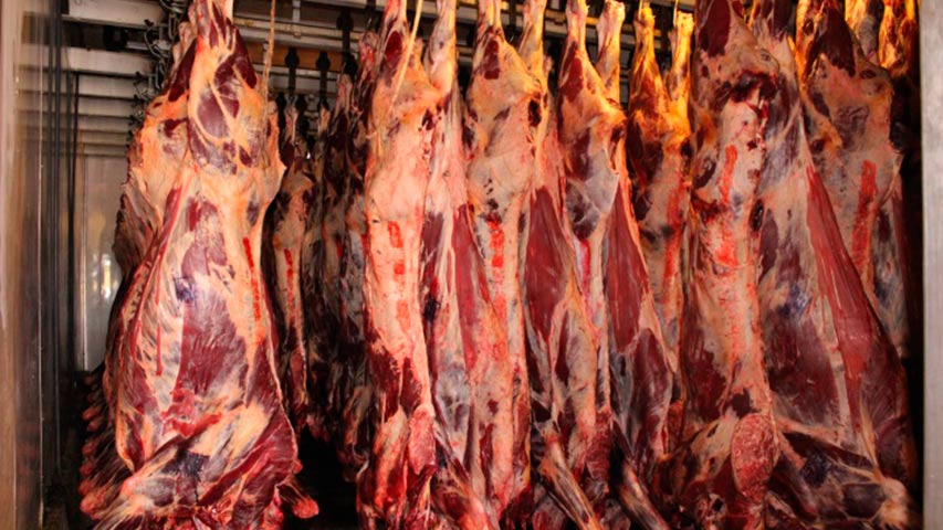 Cinco detenidos tras incautación de 1.500 de kilos de carne