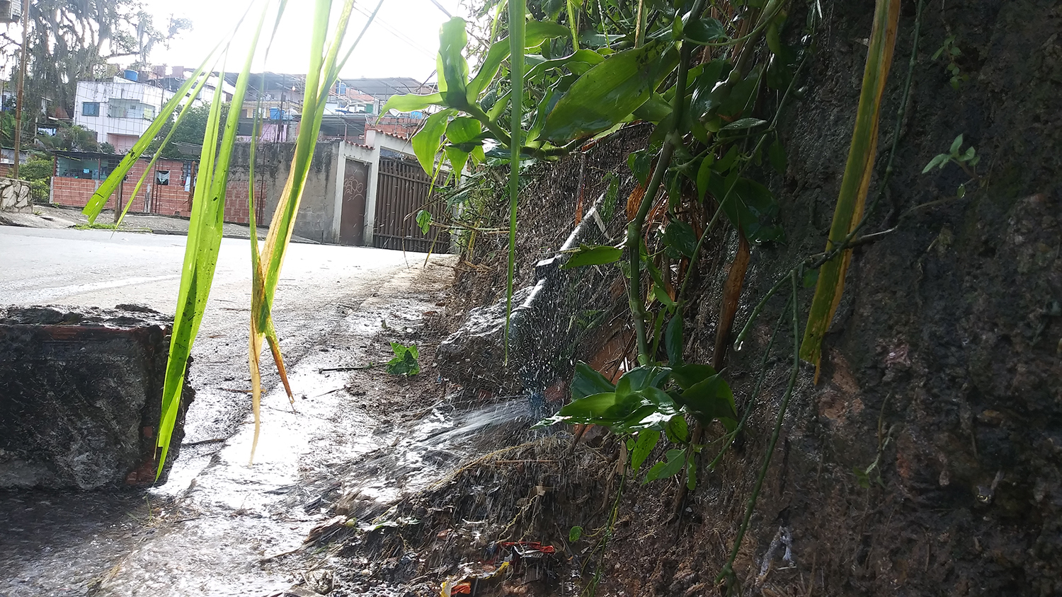 Reportan rotura de tubería de agua en El Vigía