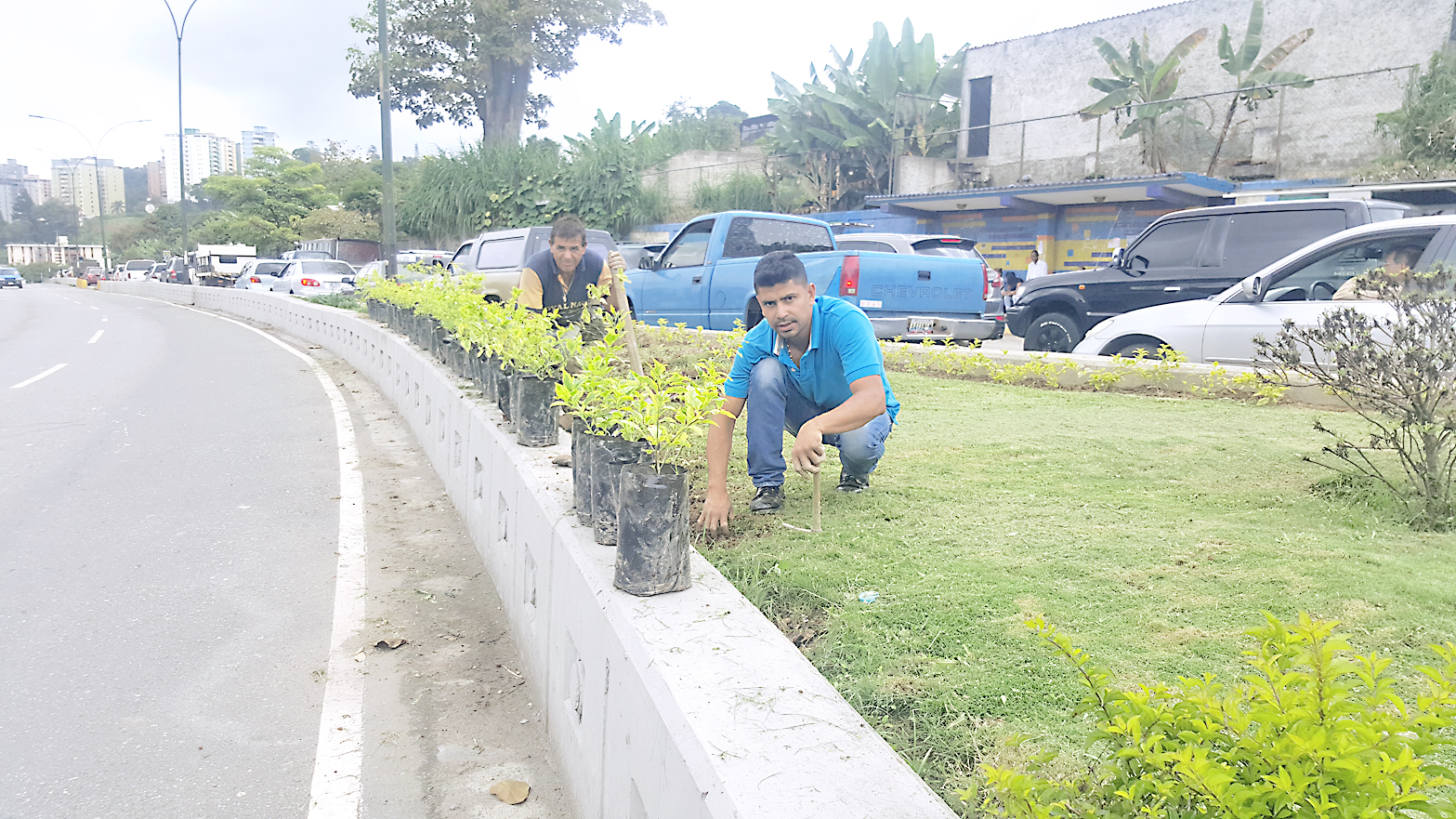 Rehabilitan jardineras en avenida Francisco Salias