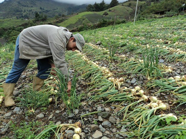 Fedeagro dispuesta a reunirse con el Ejecutivo