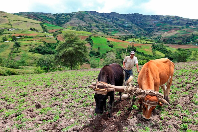 Productores agropecuarios piden reunirse con Maduro