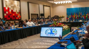 Captura de pantalla 2018-12-26 a las 12.26.14