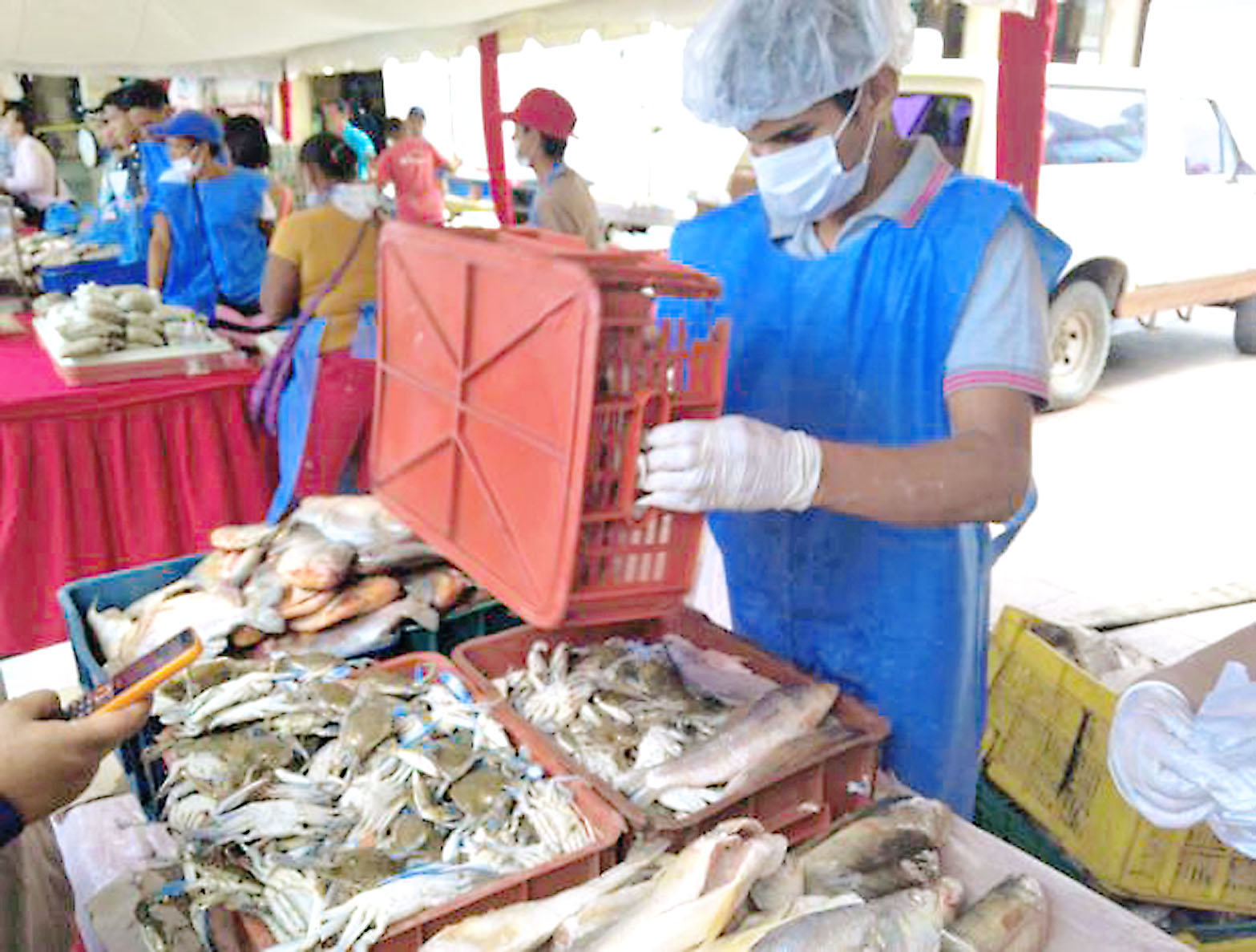 Gobierno distribuyó 254  toneladas de pescado
