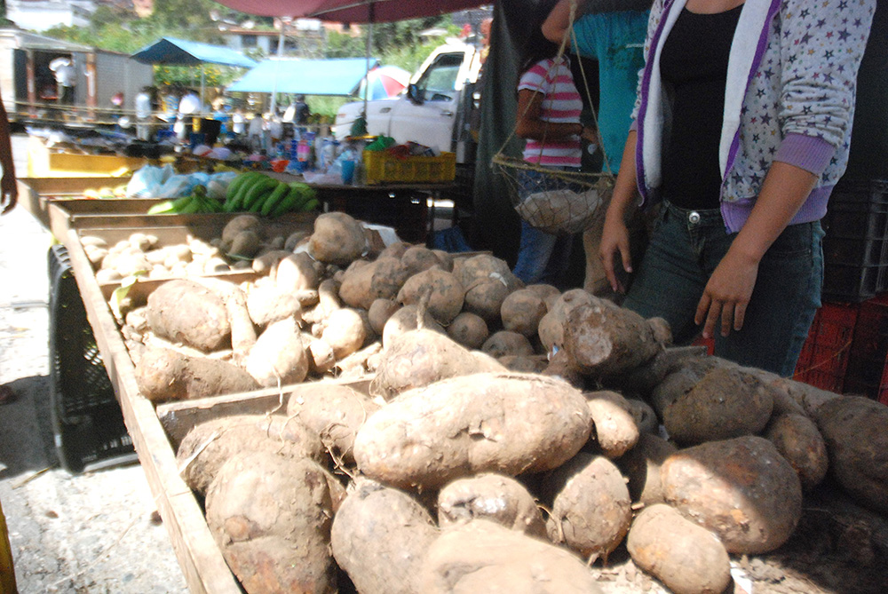 Verduras aumentan semanalmente