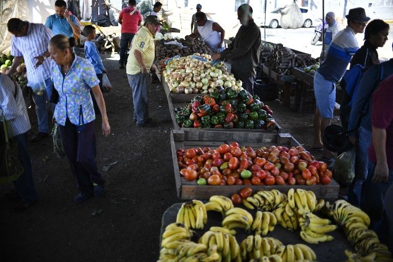 ONU promoverá siembra en Venezuela para asegurar alimentación infantil