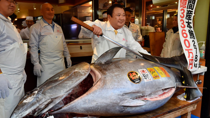 El insólito monto que pagó este magnate del sushi por un atún gigante