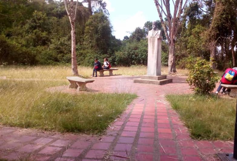 El monte se traga placita de Laguneta