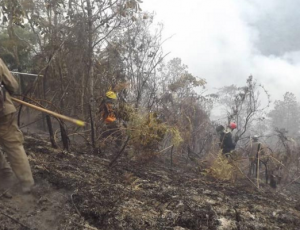 Captura de pantalla 2019-04-09 a las 10.07.17