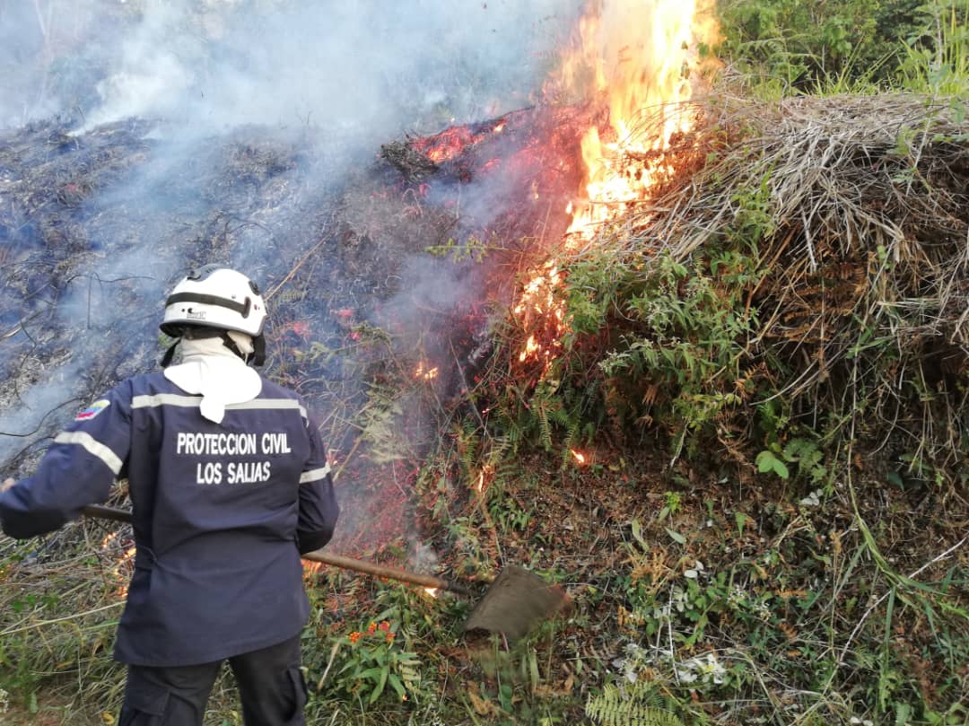 Contabilizan 40 incendios forestales en Los Salias