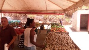 Mercadito-Montaña Alta