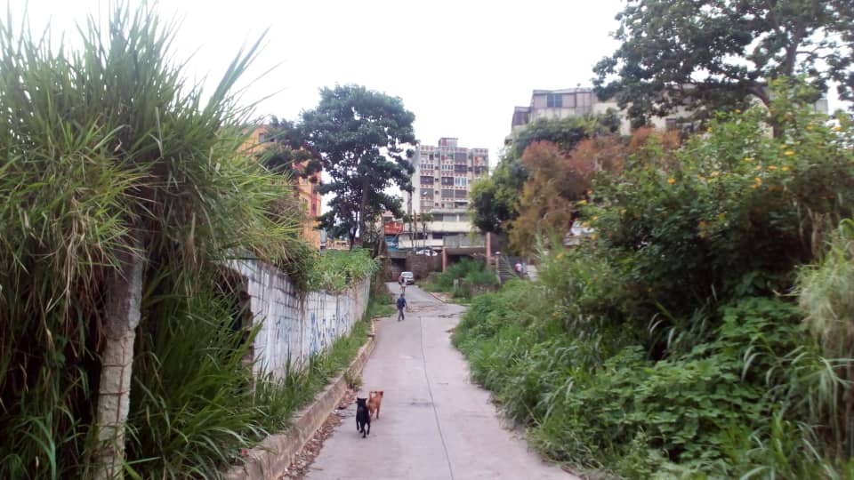 Reina la oscuridad en puente Negro Primero