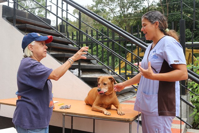 Alcaldía de Carrizal sigue trabajando por el bienestar de las mascotas