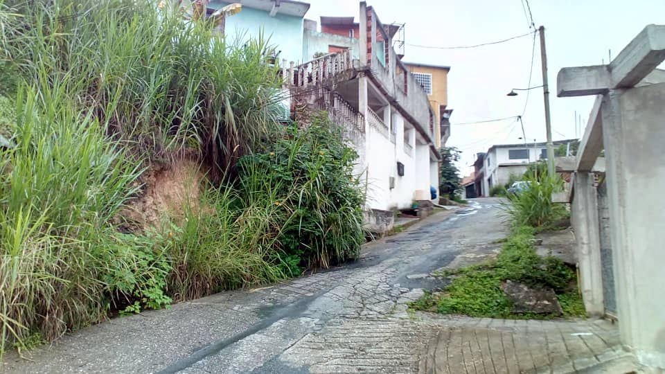 Comunidad El Bosque en total abandono