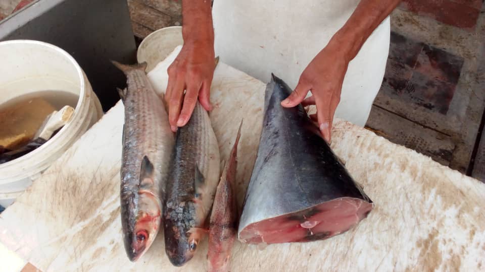 Consumo de pescado en aumento