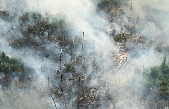 CAF donará medio millón de dólares para incendios en el Amazonas