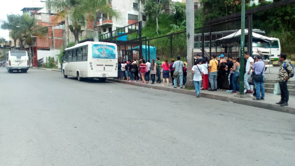 Pasaje a Caracas podría fijarse en Bs. 2.500