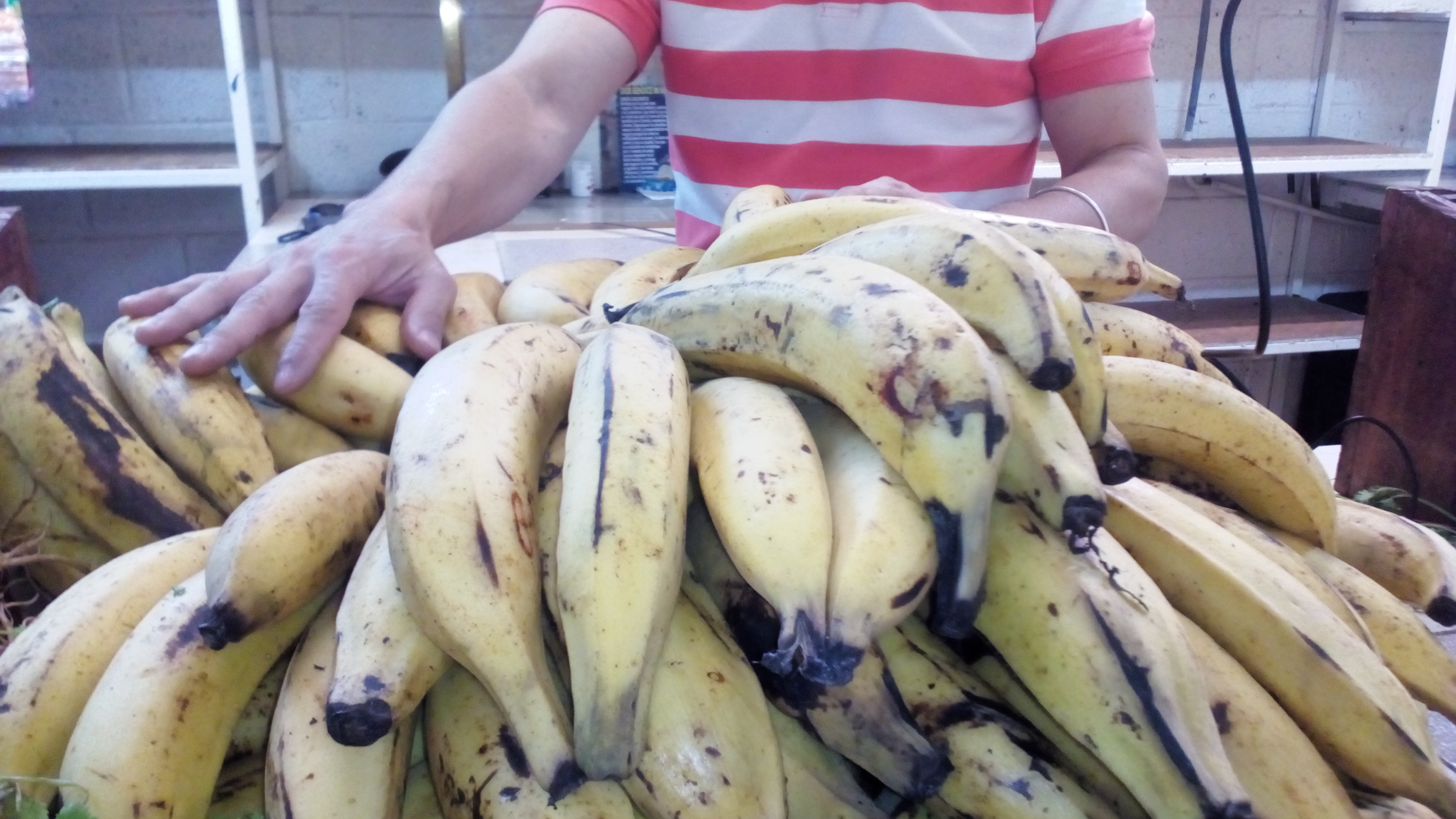 El kilo de plátano oscila entre Bs. 6.000 y 6.500