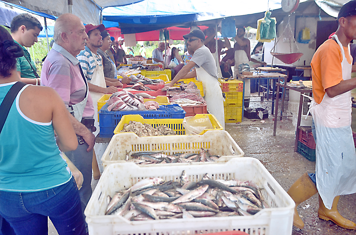 Para muchos la sardina representa una opción mas económica