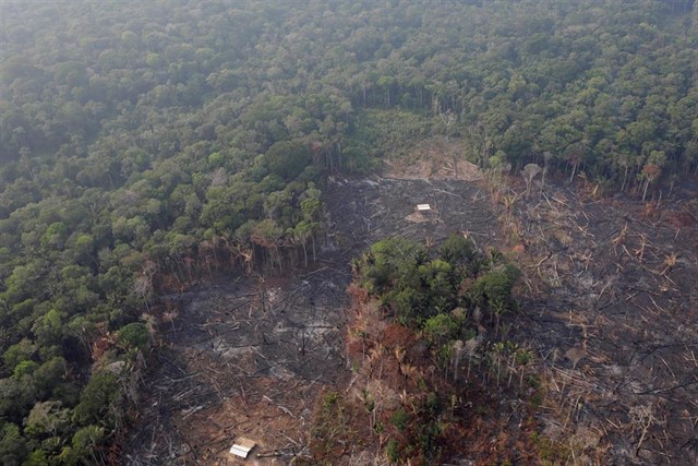 El G7 moviliza 18 millones para combatir el fuego en la Amazonia