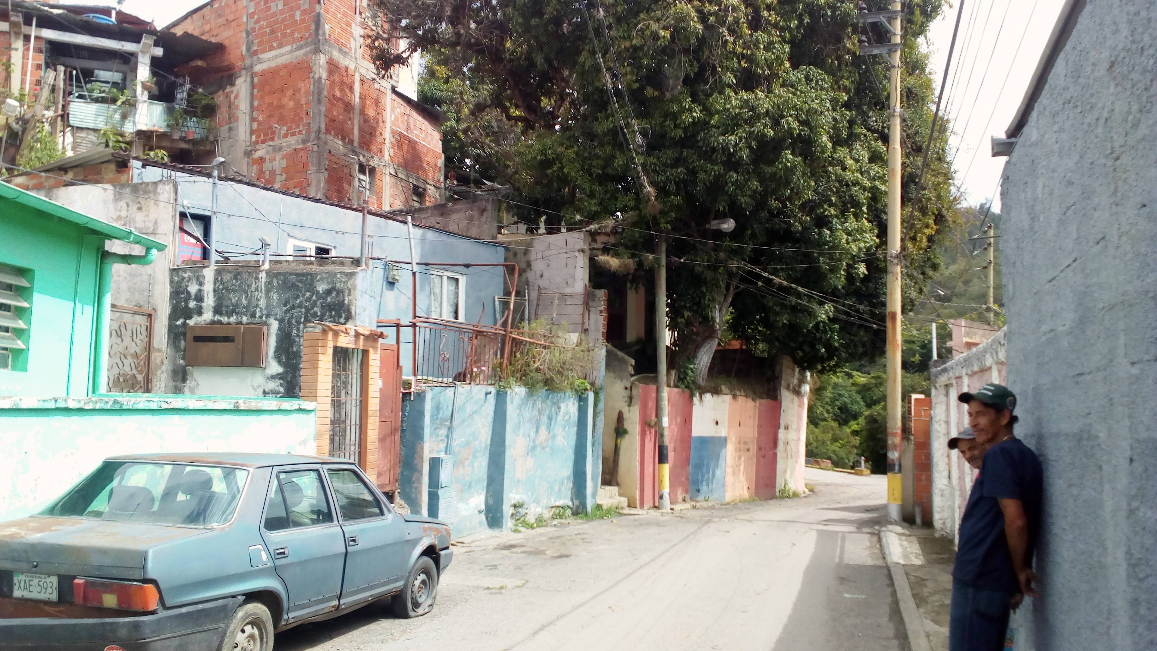 Árboles amenazan con tumbar cableado eléctrico