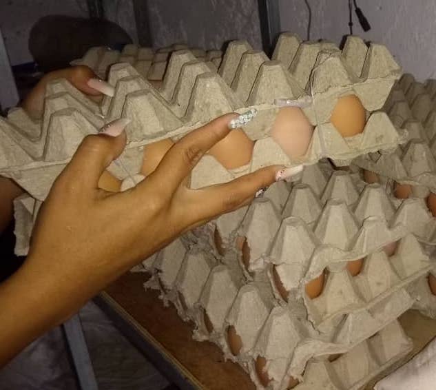 Cartón de huevos  va rumbo a los Bs. 100 mil