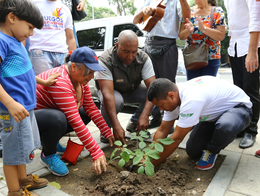 Misión Árbol plantó araguaneyes