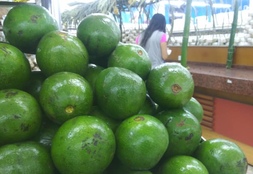 Kilo de aguacate alcanzó los Bs. 13.000