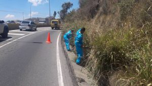 Limpieza Panamericana