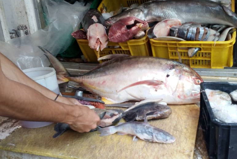 Pescado ya no resulta tan accesible para muchos