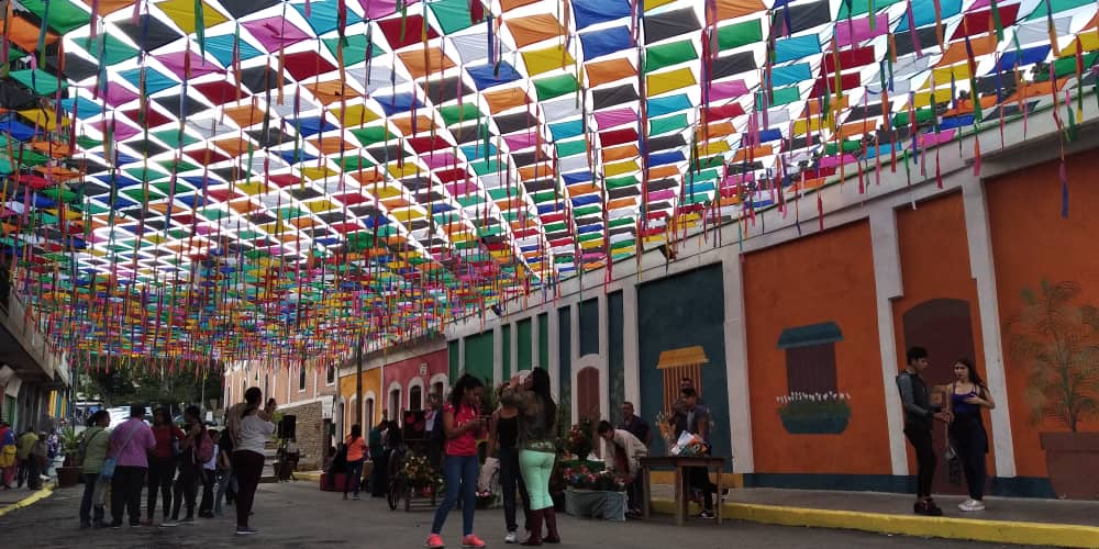 La Roque Pinto se convierte en la calle de los papagayos