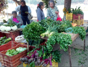 hortalizas ventas legumbre